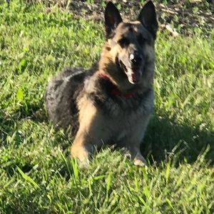 Meet your Posher, Deanna